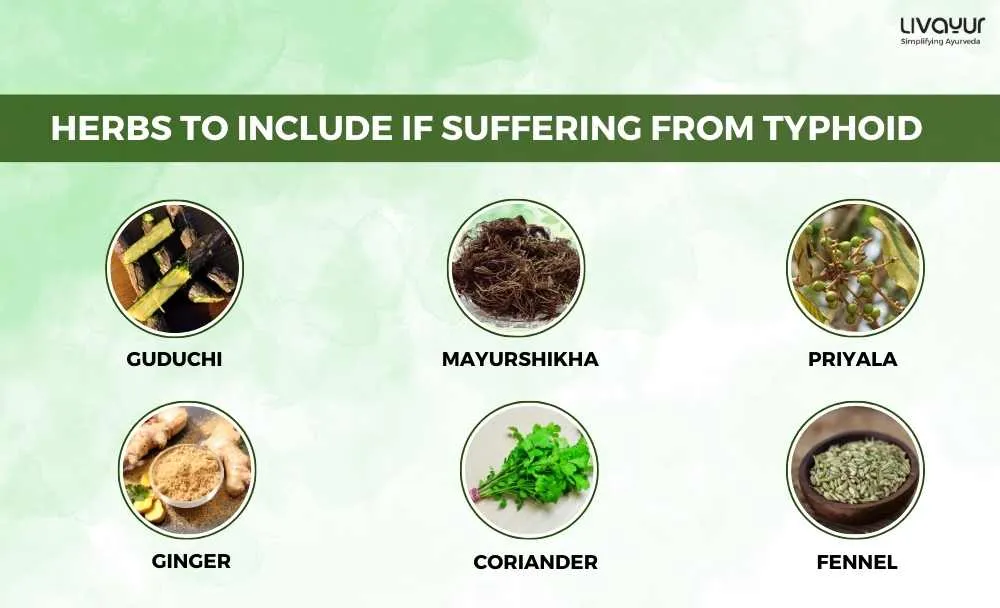 Typhoid Diet What to eat and What to Avoid in Typhoid 2