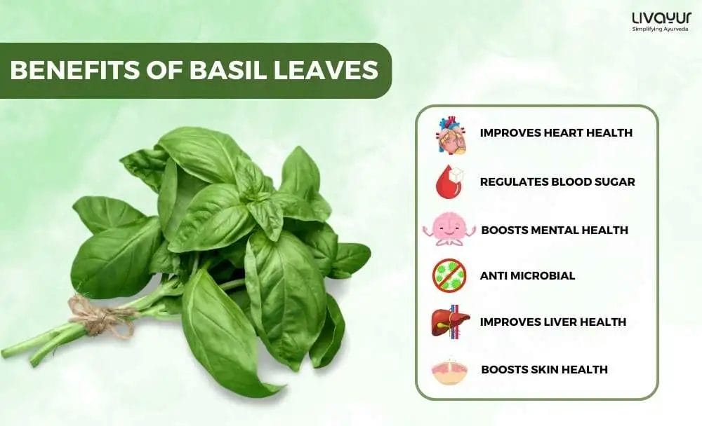 Benefits of Using Basil Leaves 1