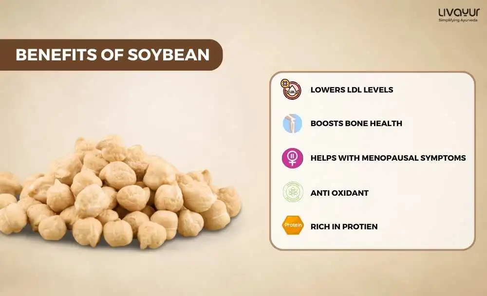Soybean Nutritional Facts Benefits Side Effects