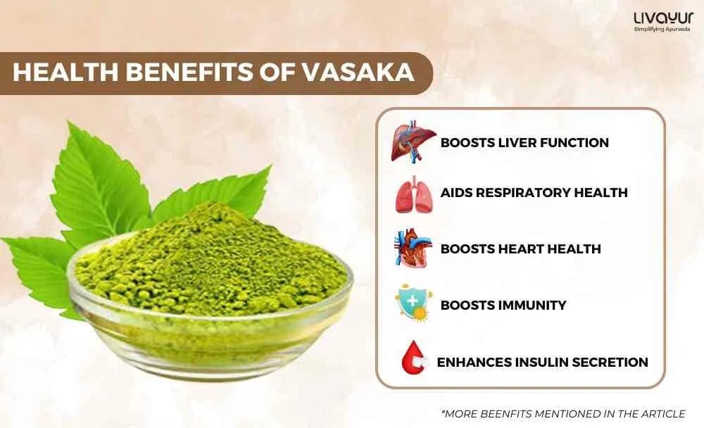Discover the Health Benefits of Vasaka And How to Use It 1 11zon