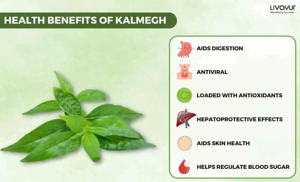 The Multiple Benefits And Uses of Kalmegh 1