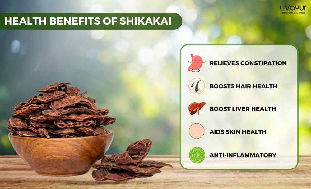 Discover The Incredible Benefits Of Shikakai And Its Uses 2